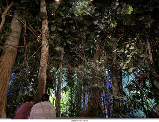 New York City - Manhattan - American Museum of Natural History