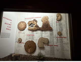 New York City - Manhattan - American Museum of Natural History