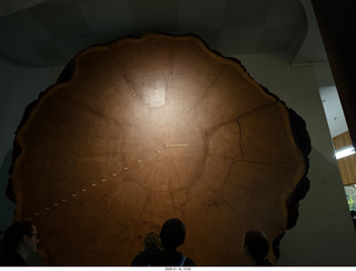 New York City - Manhattan - American Museum of Natural History