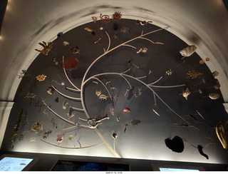 New York City - Manhattan - American Museum of Natural History