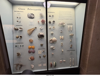 New York City - Manhattan - American Museum of Natural History