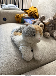 New York City - Manhattan - godson Anthony Jr. cat toy