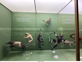 New York City - Manhattan - American Museum of Natural History