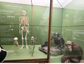 New York City - Manhattan - Carnegie Hall  - Sir Karl Jenkins