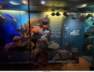 New York City - Manhattan - American Museum of Natural History