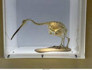 New York City - Manhattan - Carnegie Hall - Sir Karl Jenkins