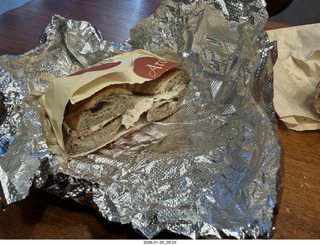 New York City - Manhattan - American Museum of Natural History - Adam photoshop