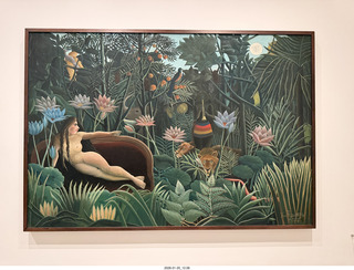 New York City - Manhattan - Museum of Modern Art (MOMA) - Rousseau