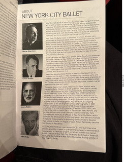 New York City - Manhattan - Museum of Modern Art (MOMA) - Adam - Is this sink a work of art?