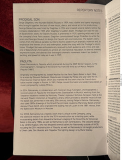New York City - Manhattan - Carnegie Hall - Sir Karl Jenkins program