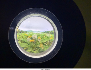 New York City - Manhattan - eyehole on building  of dandilions