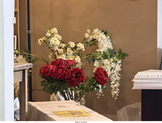 New York City - Manhattan - Novapetal NYC