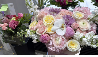 New York City - Manhattan - Carnegie Hall - dinner text