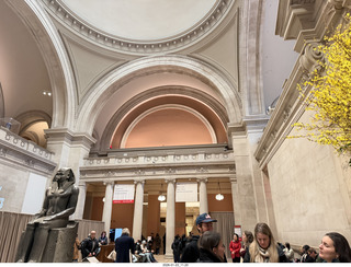 New York City - Manhattan - Novapetal NYC