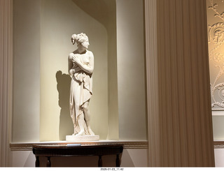 New York City - Manhattan - dogs