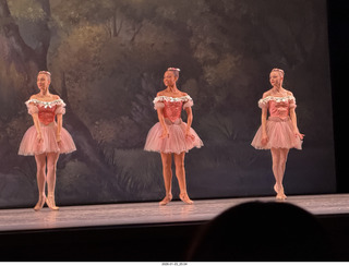 New York City - Manhattan - New York Ballet