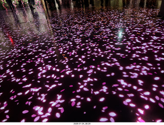 New York City - Arte Museum