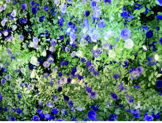 New York City - Manhattan - Novapetal globe