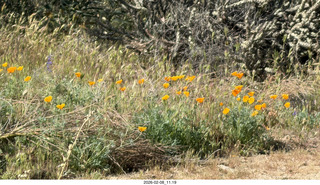 Scottsdale - Granite Mountain Hike - map