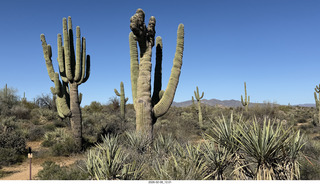 Scottsdale - Granite Mountain Hike