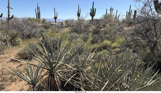 Scottsdale - Granite Mountain Hike