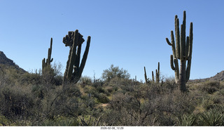 Scottsdale - Granite Mountain Hike - Coyote Canyhon sign