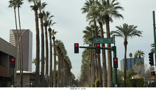 Phoenix Palm Drive