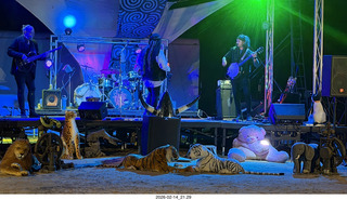 Arizona Flying Circus - night - fire - Adam