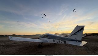 Arizona Flying Circus - N8377W