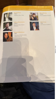 Arizona Musicfest - Festival Orchestra program
