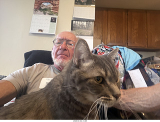 cats Pickle and Potato