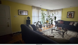 Adam in the multi-mirror