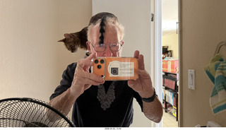 Adam in the multi-mirror