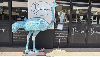 blue ostrich boutique