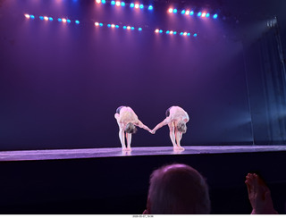 New York Cithy - Joyce Theater - Dave Parsons dance program